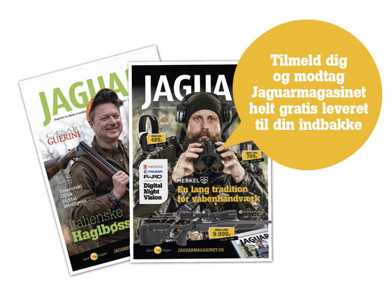Bild jaguarmagasinet nyhetsbrev
