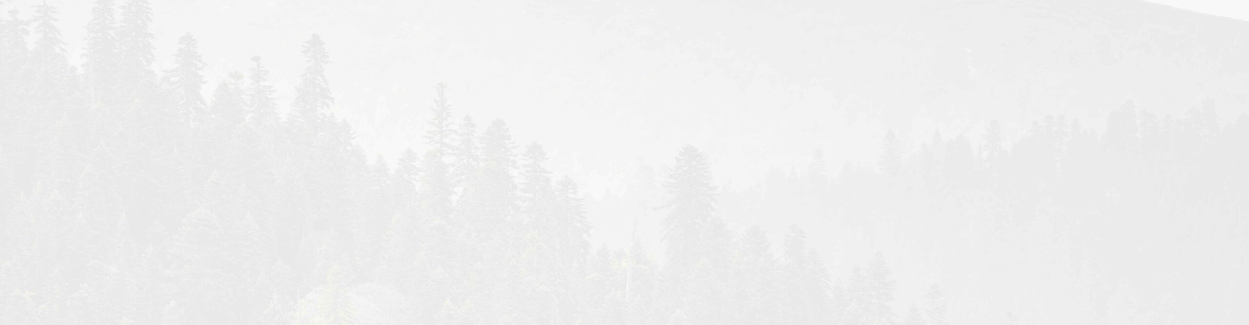 skog